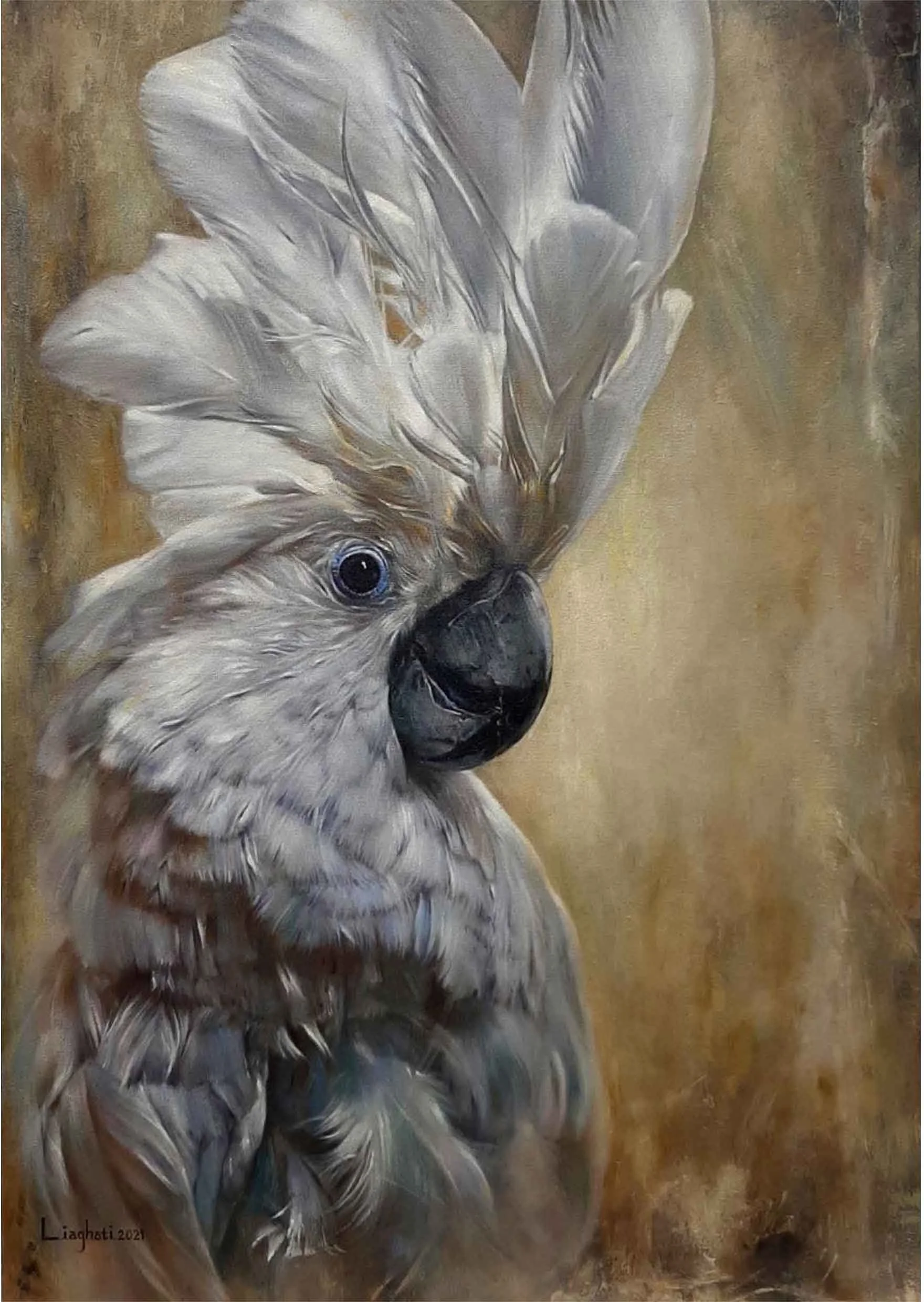 کاکادوی سفید